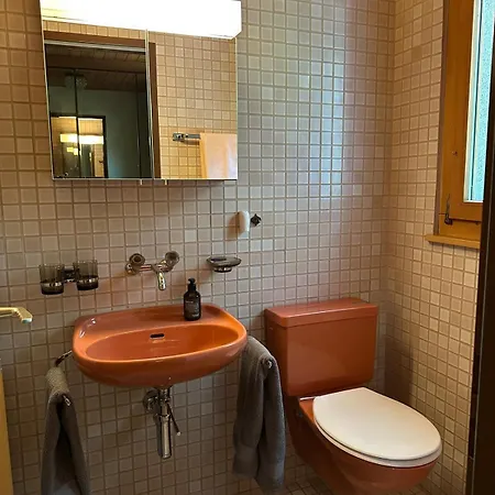 Rose - Einfamilienhaus * Interlaken