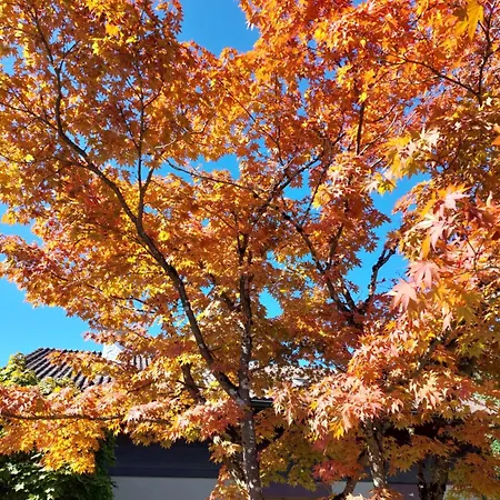 Feriehus Rose - Einfamilienhaus Interlaken