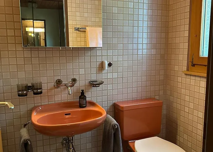 Rose - Einfamilienhaus * 因特拉肯