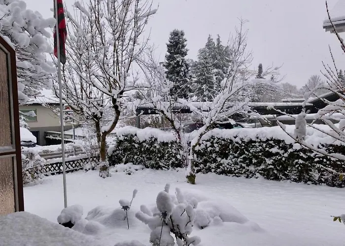 Rose - Einfamilienhaus * 因特拉肯